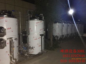 自釀啤酒設(shè)備價(jià)格解析 從入門(mén)到生產(chǎn)的全方位指南